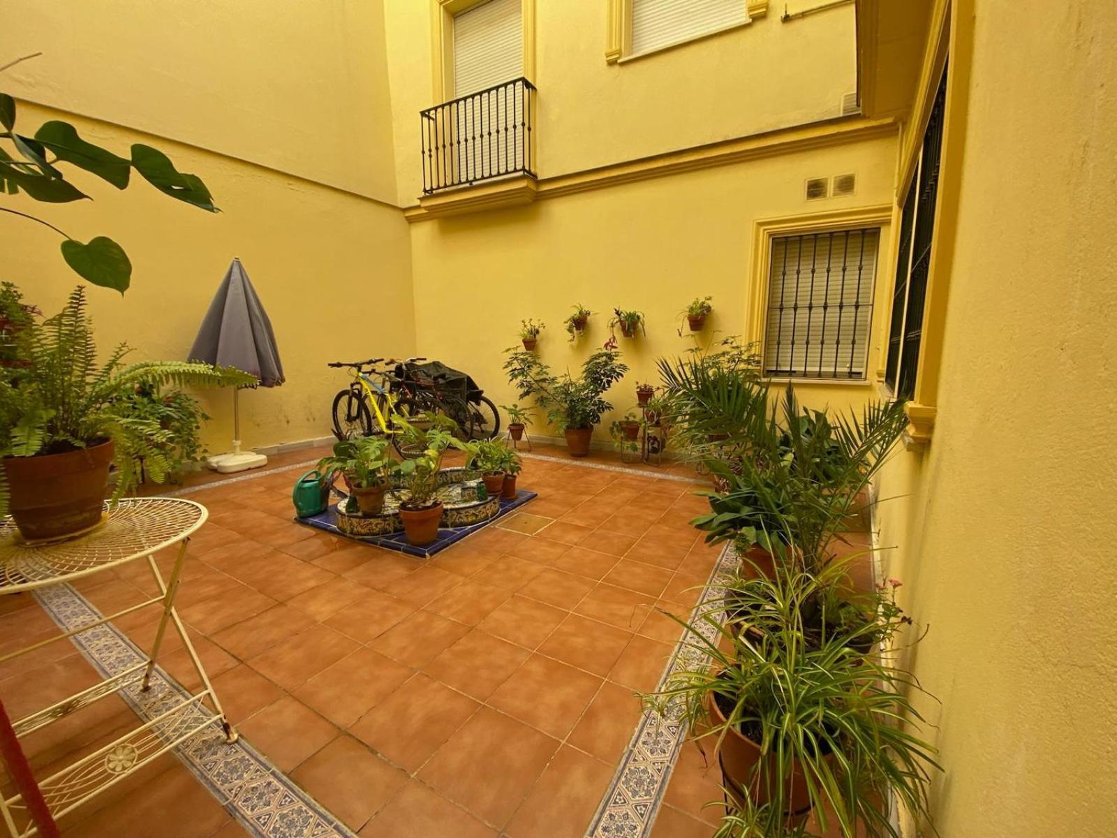 La Azotea Del Sol Apartment Севиля Екстериор снимка