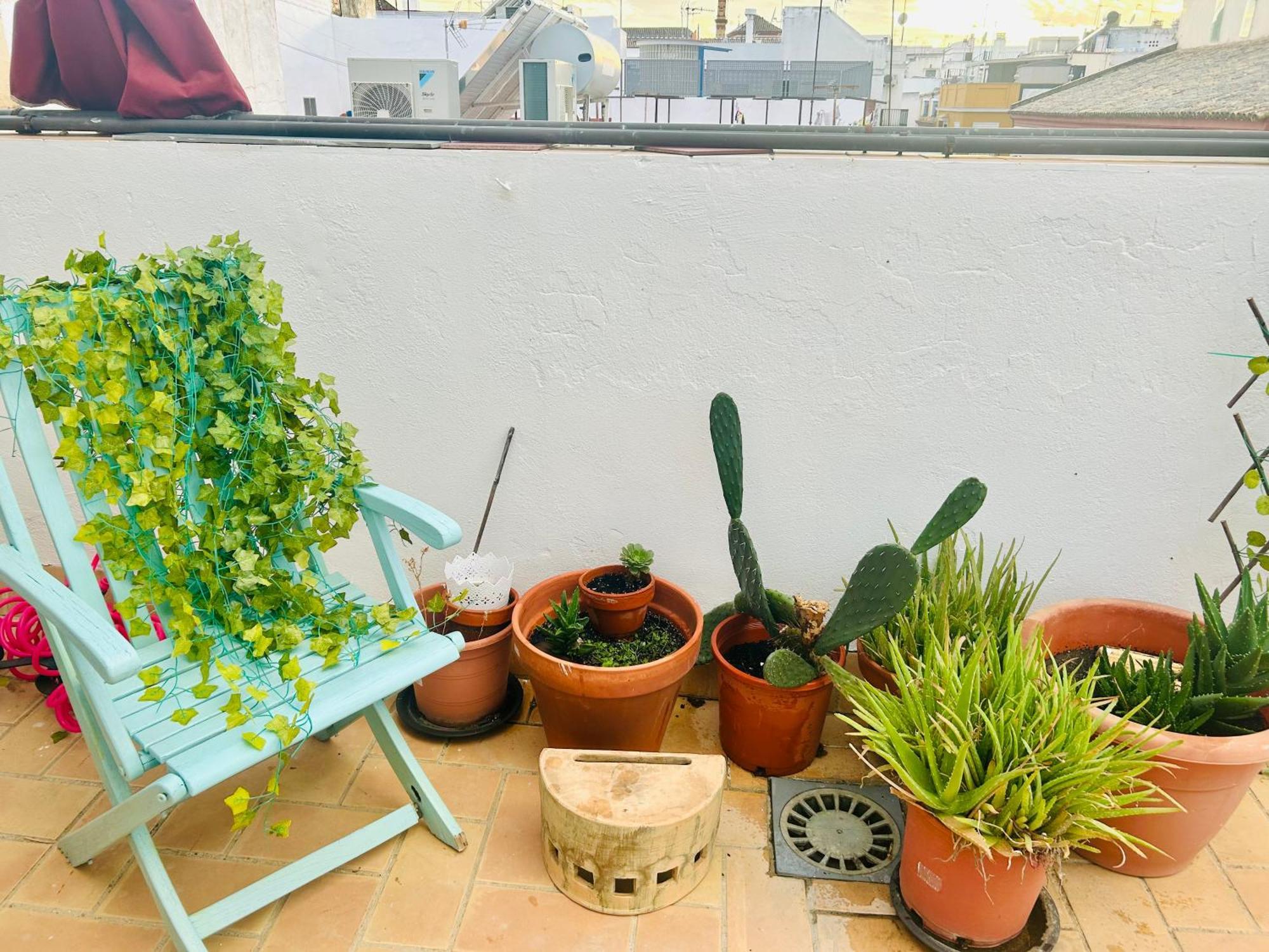 La Azotea Del Sol Apartment Севиля Екстериор снимка